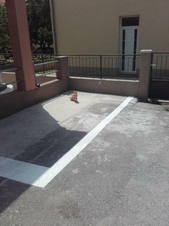 Maremy Daire Zadar Dış mekan fotoğraf